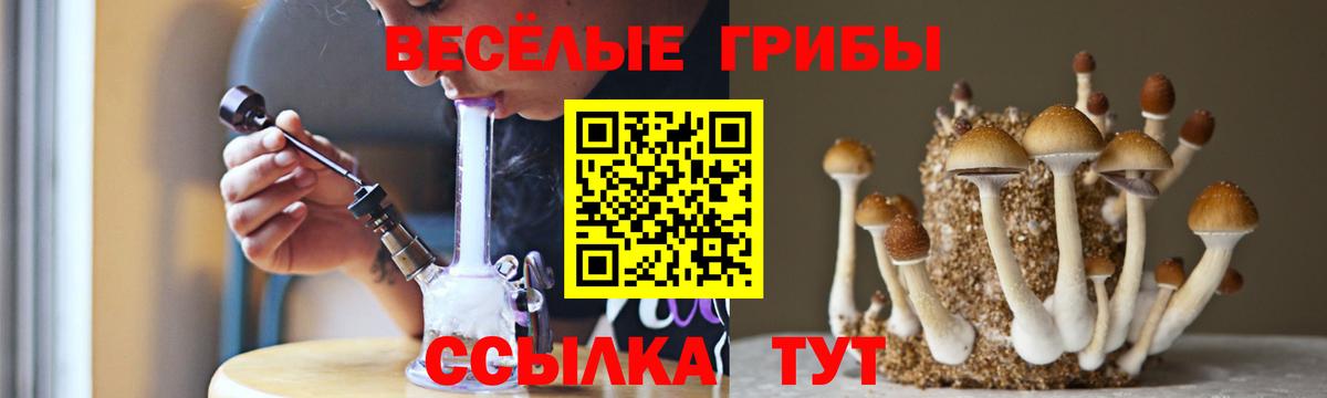 Галлюциногенные грибы Psilocybine cubensis Озёрск