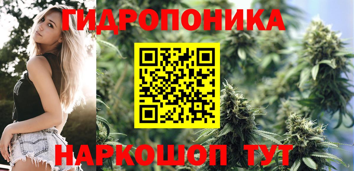 Шишки марихуана конопля Озёрск